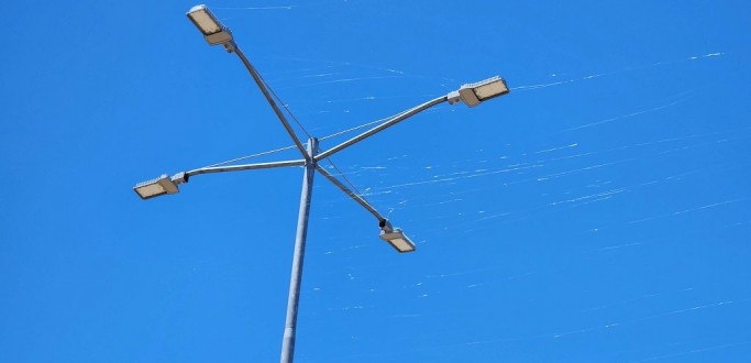 SAIBA O QUE � A BABA DE BOI VISTA NESTA QUARTA-FEIRA (16), EM RIO GRANDE