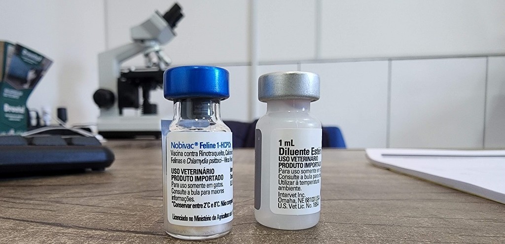 CONHEÇA O CRONOGRAMA PARA A VACINAÇÃO DE CÃES E GATOS