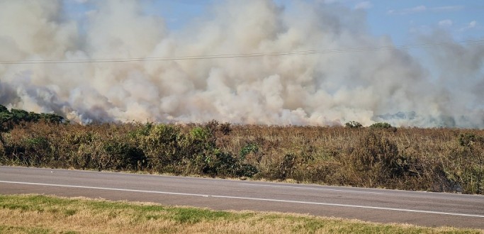 INC�NDIO EM VEGETA��O � REGISTRADO �S MARGENS DA BR 392