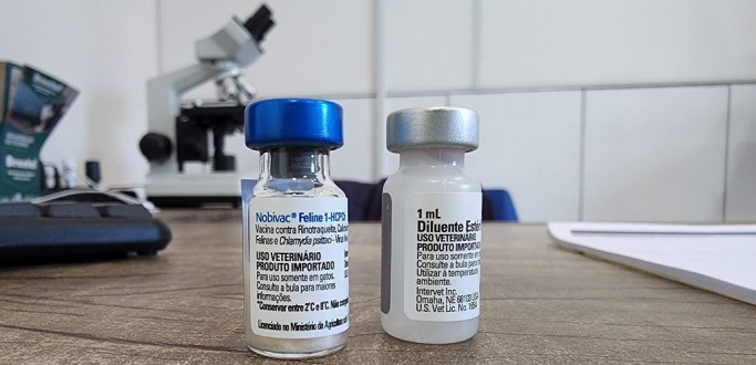 CONHE�A O CRONOGRAMA PARA A VACINA��O DE C�ES E GATOS