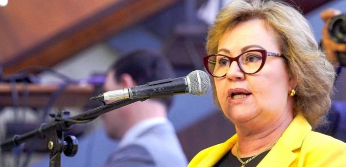 PROJETO DE LEI DE SILVANA COVATTI GARANTE TRANSPARNCIA NA ORIGEM DO LEITE IMPORTADO