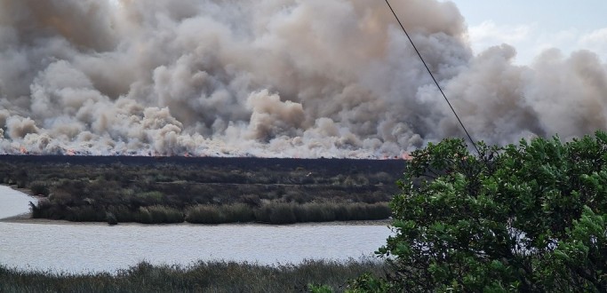 INC�NDIO EM VEGETA��O �S MARGENS DA BR 392 CAUSA EXTENSA CORTINA DE FUMA�A SOBRE A ERS 734