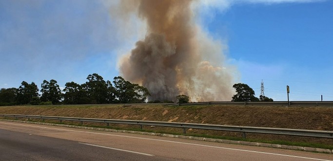 BOMBEIROS REGISTRAM AUMENTO NOS NMEROS DE INCNDIOS EM VEGETAO NOS PRIMEIROS MESES DO ANO
