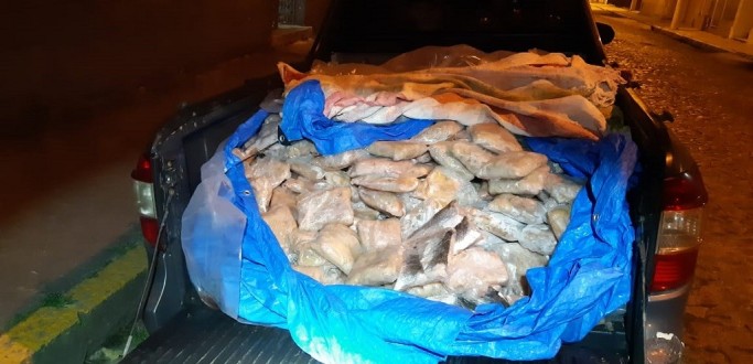 PRF APREENDE CARGA DE PESCADO TRANSPORTADA IRREGULARMENTE NA BR 392