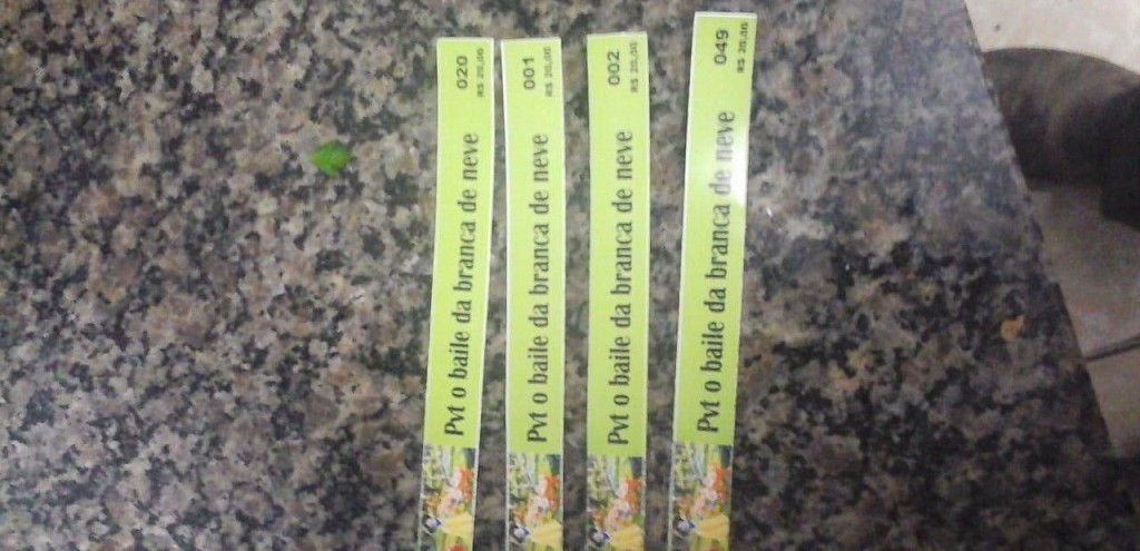 PC IMPEDE ORGANIZAO DE FESTA RAVE NO INTERIOR DO MUNICPIO