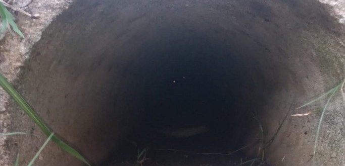 BOMBEIROS RESGATAM CACHORRO PRESO EM TUBULA��O DE ESGOTO, NA VILA MARIA