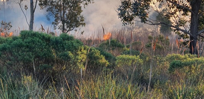 INC�NDIO ATINGE TERRENO DE PROPRIEDADE �S MARGENS DA BR 392