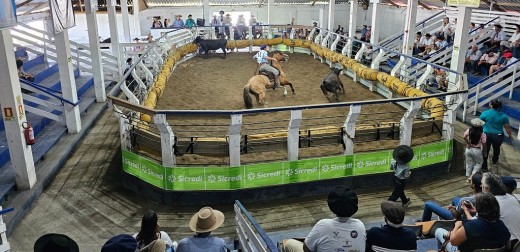 51 EXPOFEIRA DO RIO GRANDE INICIA NESTA QUINTA-FEIRA (13)