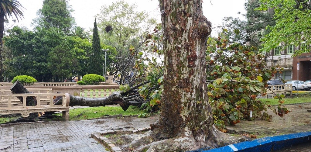 DEFESA CIVIL J REGISTRA CHAMADOS EM RAZO DOS VENTOS