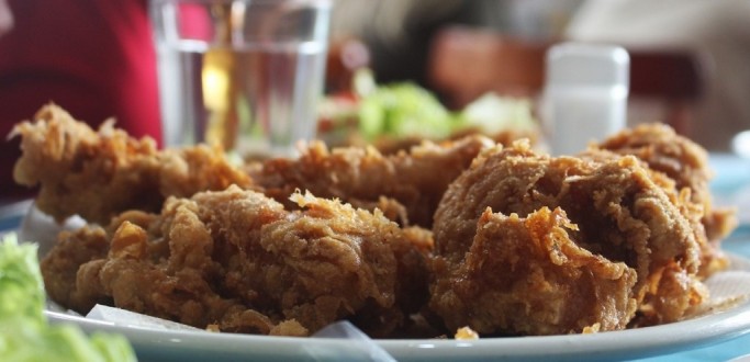 FESTIVAL DE GASTRONOMIA DO MERCADO TER� CA�A AO NINHO, PASSEIO DE ESCUNA E ATRA��ES MUSICAIS