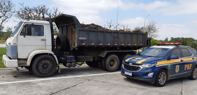 PRF PRENDE CAMINHONEIRO COM CNH FALSIFICADA EM RIO GRANDE