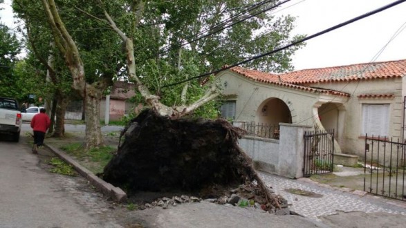 VENTOS CAUSADOS POR PASSAGEM DE CICLONE EXTRATROPICAL PROVOCARAM MUITOS ESTRAGOS EM RIO GRANDE
