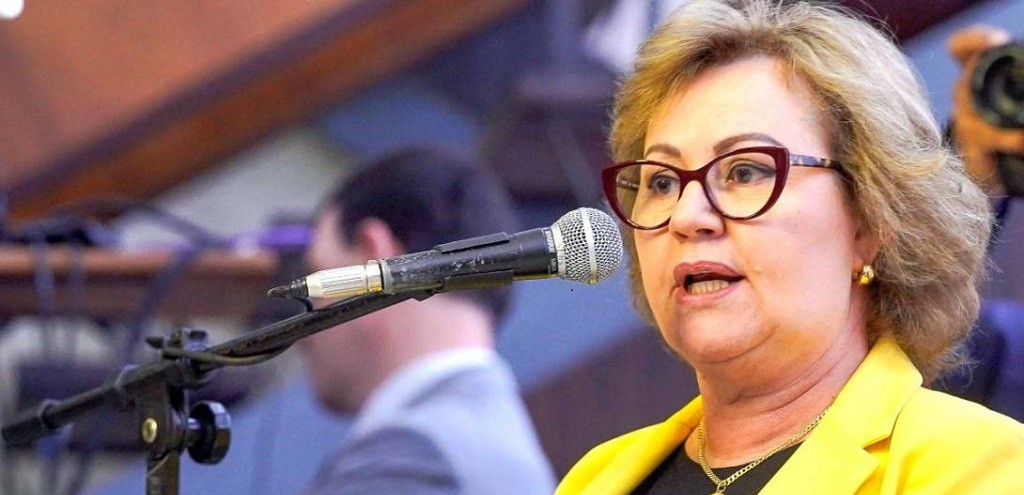 PROJETO DE LEI DE SILVANA COVATTI GARANTE TRANSPARNCIA NA ORIGEM DO LEITE IMPORTADO