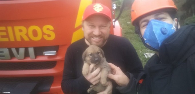 CADELINHA DE DOIS MESES FICA PRESA EM TUBULAO E  SALVA PELOS BOMBEIROS EM SLS