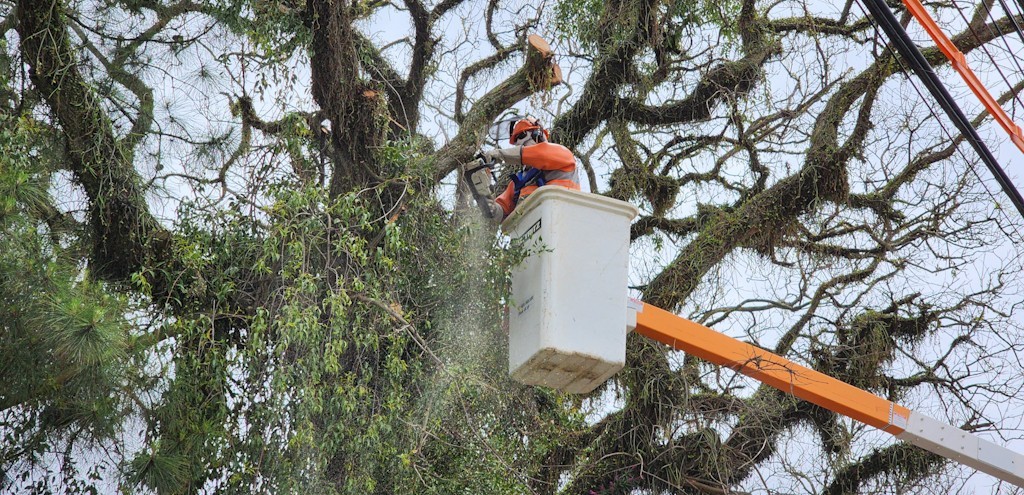 CONFIRA RUAS DE RG ATINGIDAS PELOS DESLIGAMENTOS PROGRAMADOS DA CEEE EQUATORIAL AO LONGO DA SEMANA