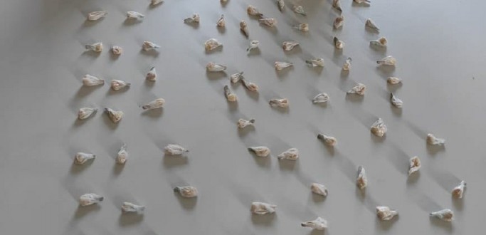 CASAL  PRESO POR TRFICO DE DROGAS EM PEDRO OSRIO