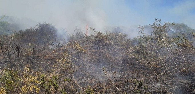 EQUIPES LUTAM PARA CONTER QUEIMADAS NO PANTANAL