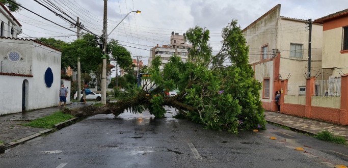 �RVORE CAI COM A FOR�A DO VENTO NA RUA VICE-ALMIRANTE ABREU