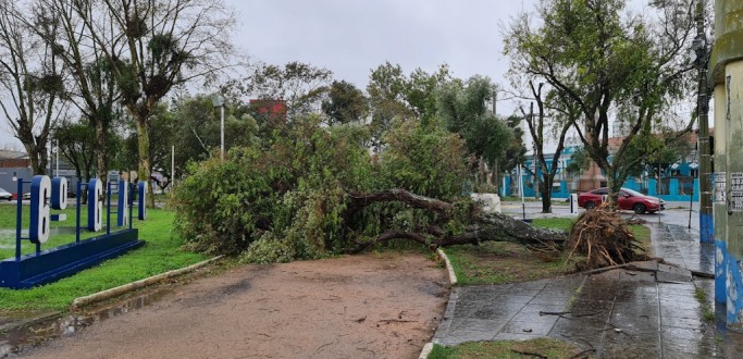 RG REGISTRA QUEDA DE �RVORES, FALTA DE LUZ E UM HOMEM MORRE DURANTE PASSAGEM DO CICLONE