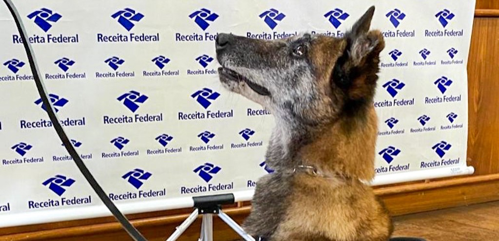 RECEITA FEDERAL DE RG ANUNCIA APOSENTADORIA DA AGENTE CANINA UVA