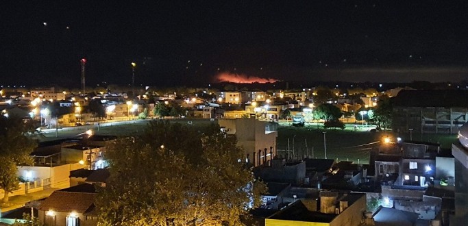 INC�NDIO ATINGE �REA DE BANHADO NA ILHA DO LEON�DEO