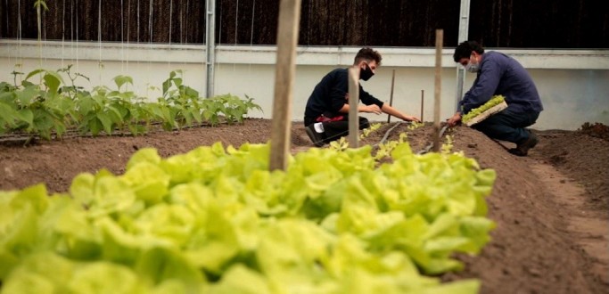 YARA REALIZA S�RIE DE A��ES SOCIAIS EM PROL DA COMUNIDADE RIO-GRANDINA