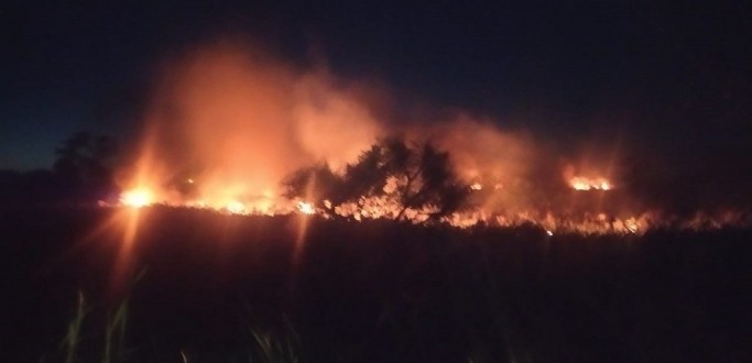 INC�NDIO ATINGE �REA DE VEGETA��O �S MARGENS DA BR 392, NA VILA DA QUINTA