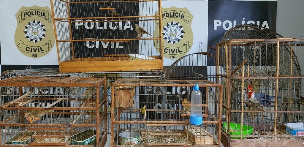 POLCIA CIVIL DESENCADEA OPERAO FAXINO NO BGV