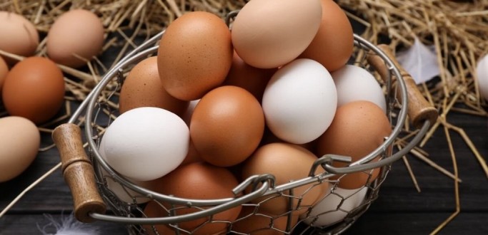 DIA MUNDIAL DO OVO 2025: BRASIL DEVE ENTRAR NO TOP 10 MUNDIAL DE CONSUMO PER CAPITA