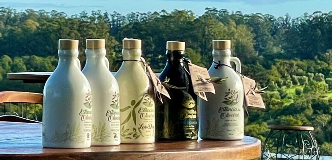 AZEITES DE OLIVA GACHOS COM SELO PREMIUM ESTO ENTRE OS MELHORES DO MUNDO