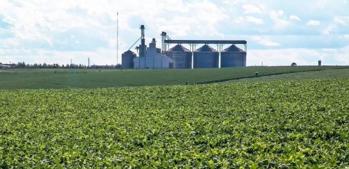 ACIDENTE DE TRABALHO MATA HOMEM NA ZONA RURAL DE CAMAQU�