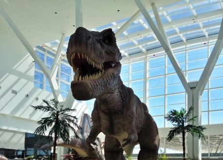 EXPOSIO MUNDO JURSSICO  DESTAQUE NO PARTAGE SHOPPING