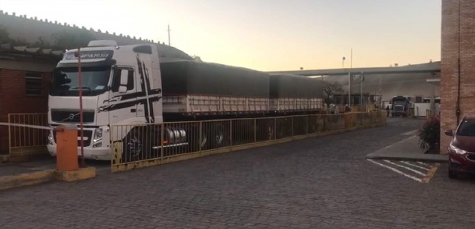 ESTIAGEM FRUSTRA 50% DA SAFRA DE SOJA NO ESTADO