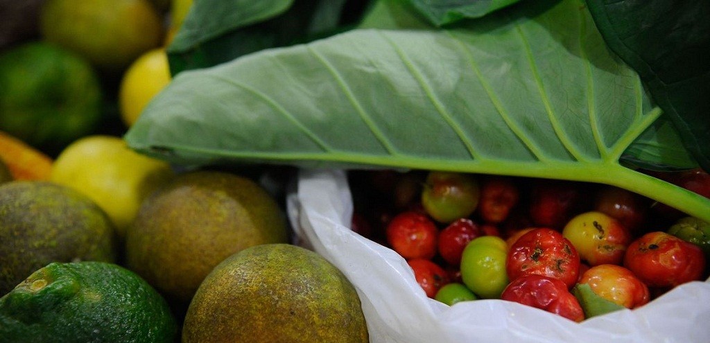 ESTUDO DA USP MOSTRA MELHORA NO CONSUMO DE ALIMENTOS SAUDVEIS