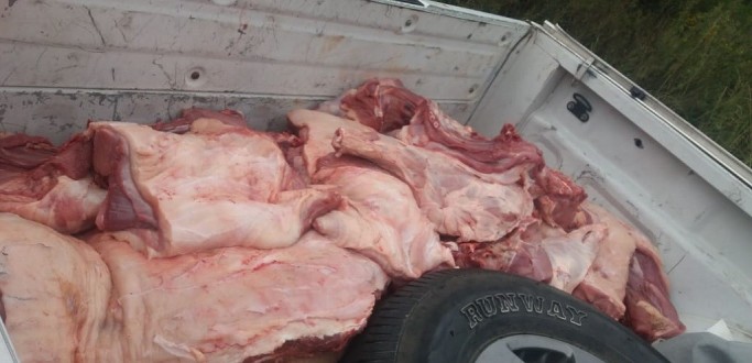 HOMEM  PRESO PELA BRIGADA MILITAR TRANSPORTANDO CARNE DE FORMA CLANDESTINA