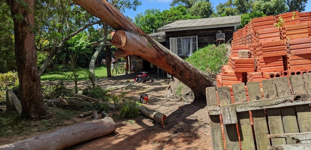 TRABALHO CONJUNTO COORDENADO PELA DEFESA CIVIL MINIMIZA DANOS CAUSADOS PELA VENTANIA
