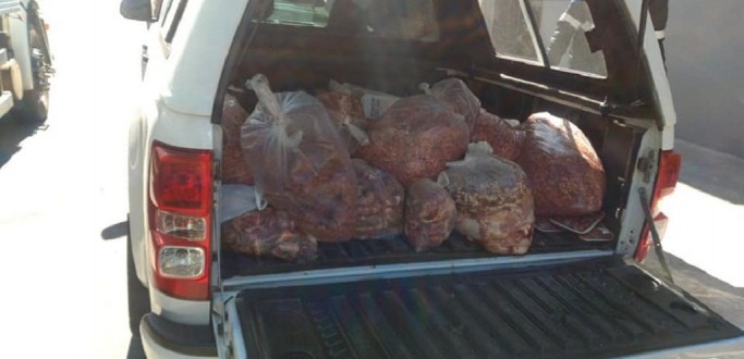 OPERAO DE COMBATE AO ABIGEATO  REALIZADA NOS MUNICPIOS DA REGIO SUL