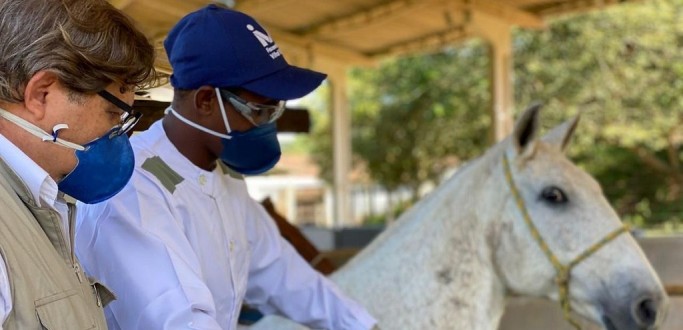 EM DEZ DIAS ANVISA DEVE RECEBER PEDIDO DE REGISTRO DE SOROS DE CAVALOS