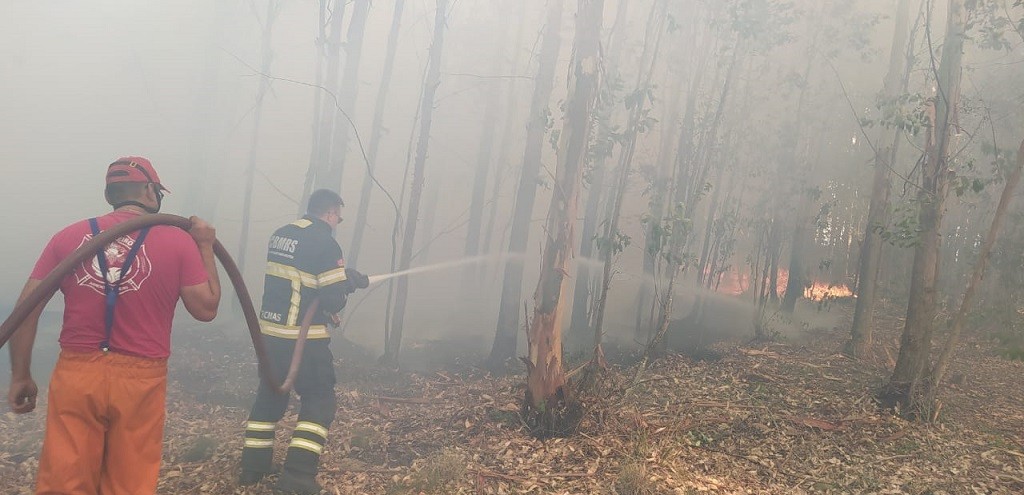 BOMBEIROS DE JAGUARO E SCAB DE ARROIO GRANDE COMBATEM INCNDIO EM REA DE EUCALIPTOS NO DISTRITO DA PEDREIRA
