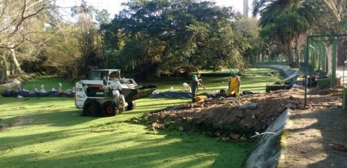 EXECUTIVO MUNICIPAL REALIZA REVITALIZAO DA PRAA TAMANDAR