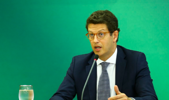 RICARDO SALLES PEDE DEMISSO DO MINISTRIO DO MEIO AMBIENTE