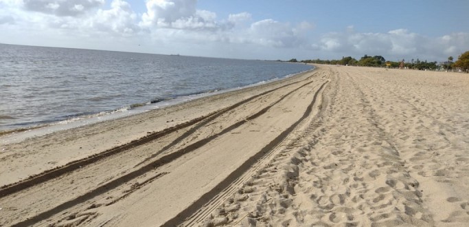 PREFEITURA DE PELOTAS RETIRA PEIXES MORTOS ENCONTRADOS NA PRAIA DO LARANJAL
