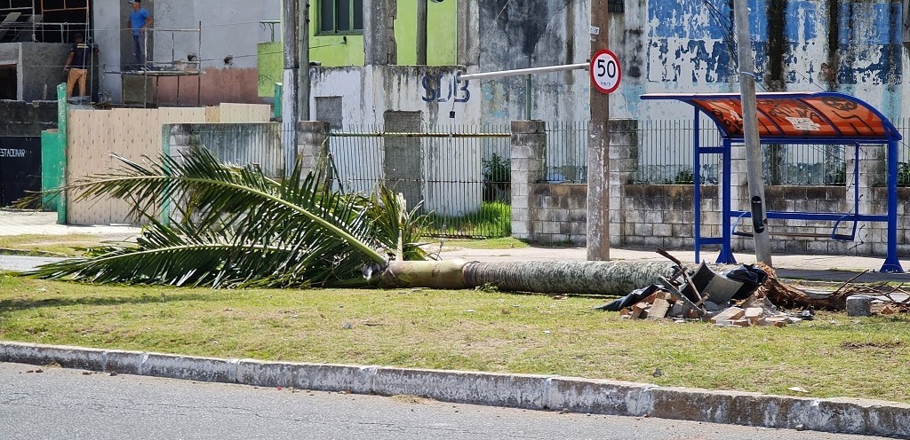 NECROPSIA DEVER APONTAR CAUSA DA MORTE DE HOMEM EM ACIDENTE NA PRESIDENTE VARGAS