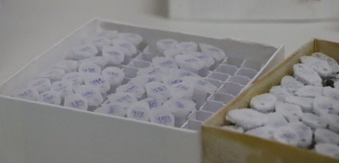 ESTADO PASSA A TRANSPORTAR TESTES DE COVID-19 POR �NIBUS INTERMUNICIPAIS DE LINHA REGULAR