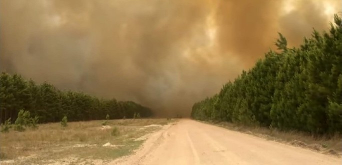 FUMAA VISTA HOJE EM RG PODE SER DE INCNDIO QUE ATINGE PLANTAES DA CMPC EM SVP