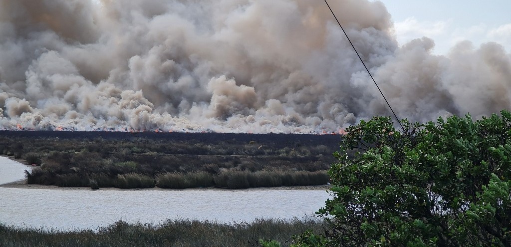 INCNDIO EM VEGETAO S MARGENS DA BR 392 CAUSA EXTENSA CORTINA DE FUMAA SOBRE A ERS 734