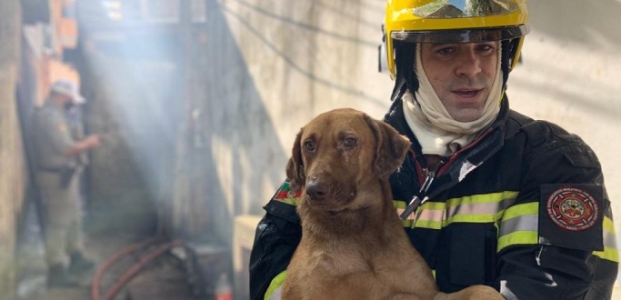 JORNALISTA DE GZH FALA SOBRE REPERCUSSO DE IMAGEM DE RESGATE DE CES DE INCNDIO EM POA