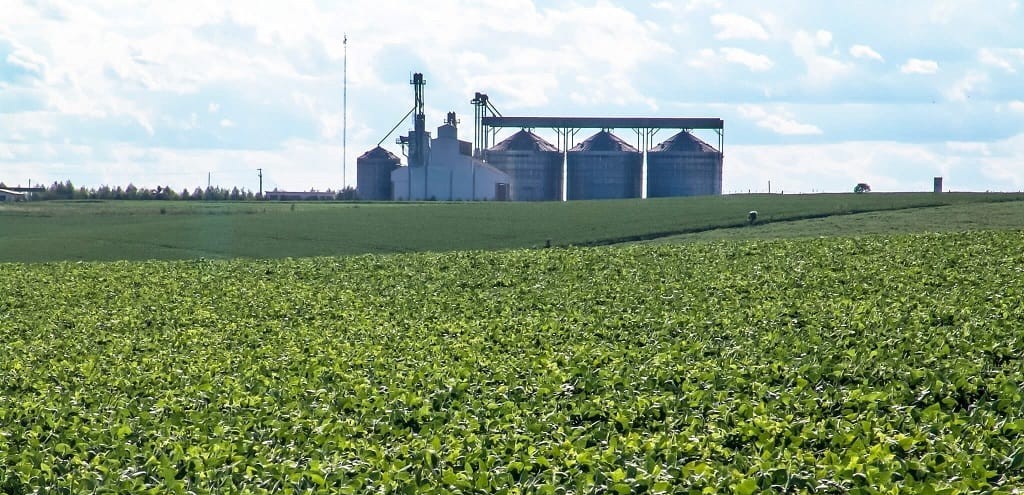 ACIDENTE DE TRABALHO MATA HOMEM NA ZONA RURAL DE CAMAQU