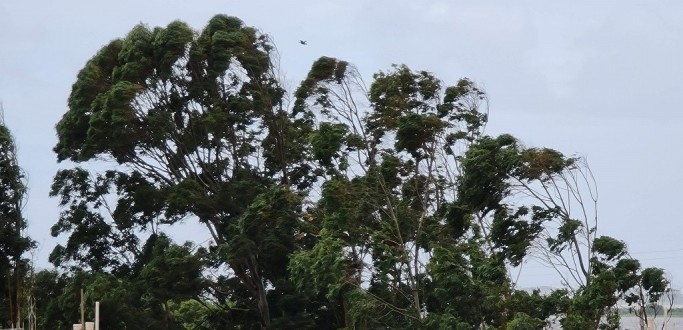 APESAR DOS VENTOS, CIDADES DA REGI�O N�O REGISTRAM ESTRAGOS RELACIONADOS AO CICLONE