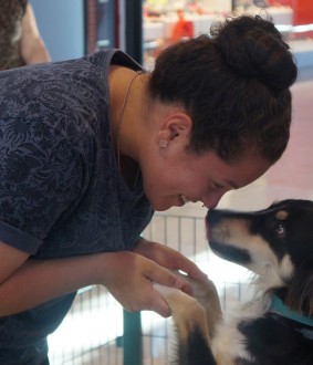 S�BADO � DIA DE GANHAR UM MELHOR AMIGO (Bicharada Universit�ria far� feirinha de ado��o no Pra�a Rio Grande Shopping)